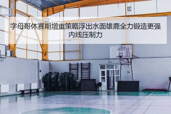 字母哥休赛期增重策略浮出水面雄鹿全力锻造更强内线压制力